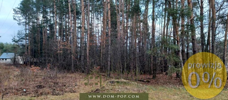Działka leśna Cyganówka