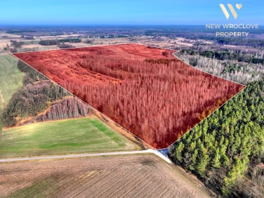 Działka rolna Czepielowice