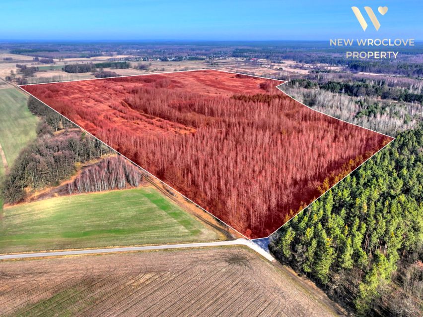 Działka rolna Czepielowice