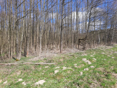 Działka rolna Doły