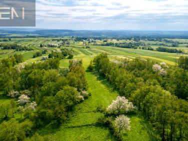 Działka rolna Niepla