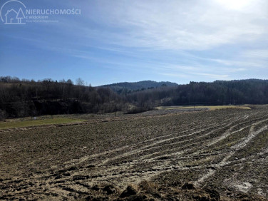 Działka rolna Jodłowa