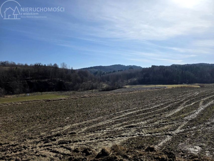 Działka rolna Jodłowa