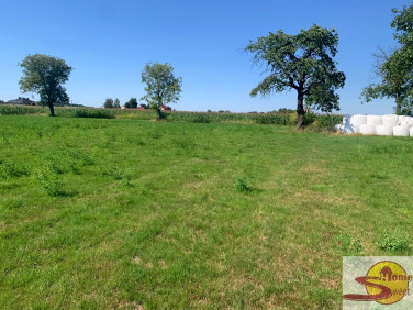 Działka budowlano-rolna Przyłęk