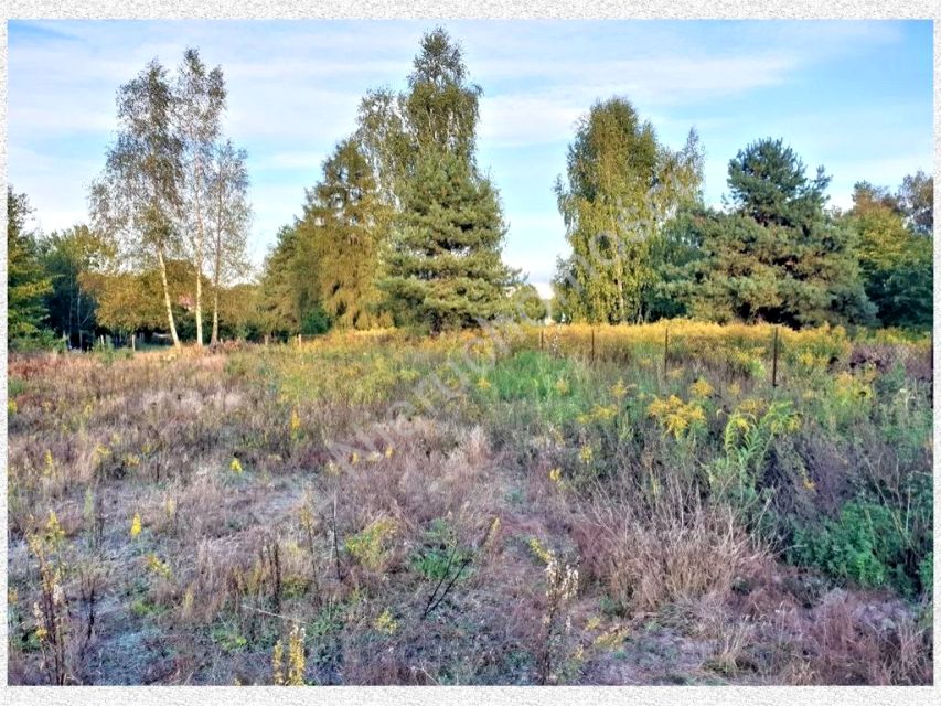 Działka budowlana Szczęsne