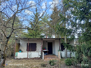 Działka rekreacyjna Sierosław