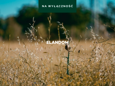 Działka inwestycyjna Stare Zakole