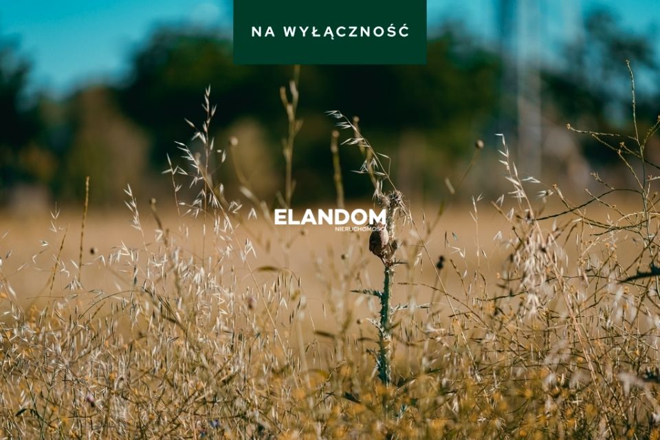 Działka inwestycyjna Stare Zakole