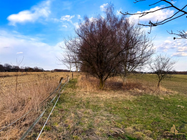 Działka rolna Tomaszowice