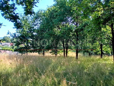 Działka inna Szczawno-Zdrój