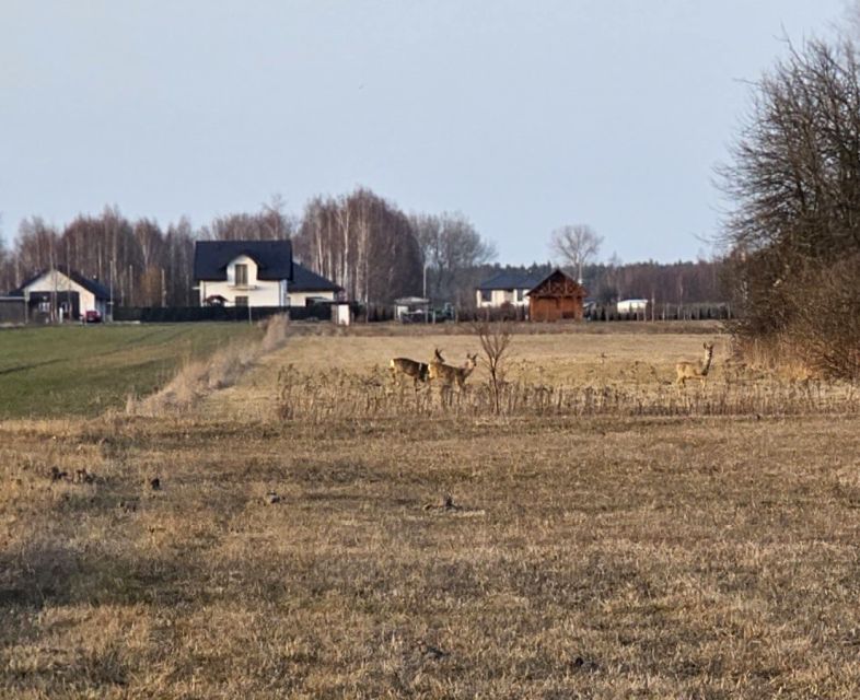 Działka budowlana Rzakta sprzedam