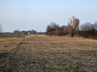 Pusta działka Rzakta