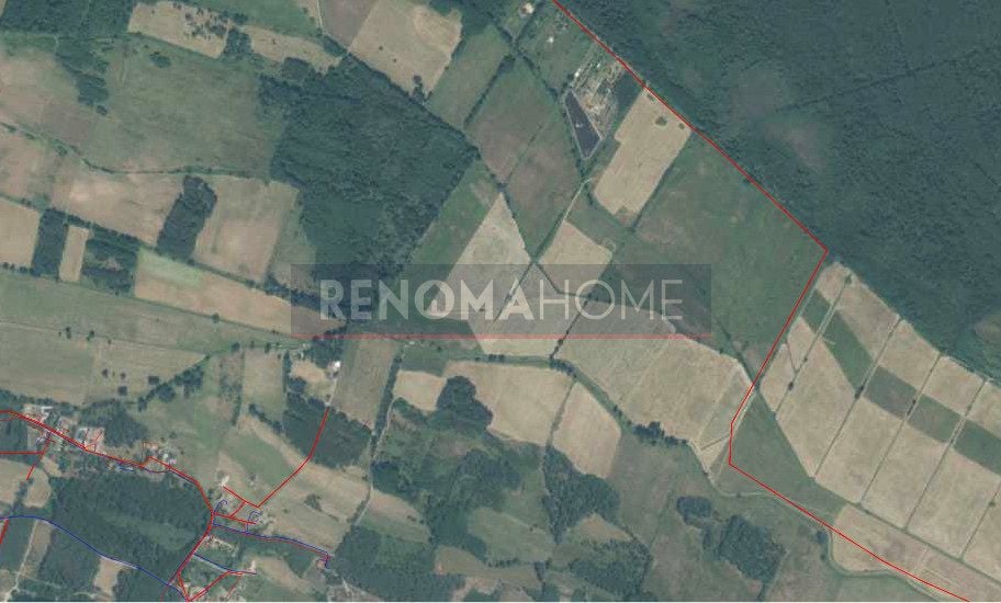 Działka rekreacyjna Michałów