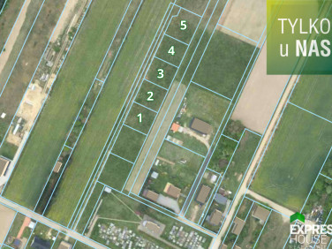 Działka rolna Widowo