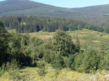 Działka budowlana Kowary