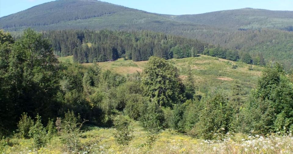 Działka budowlana Kowary