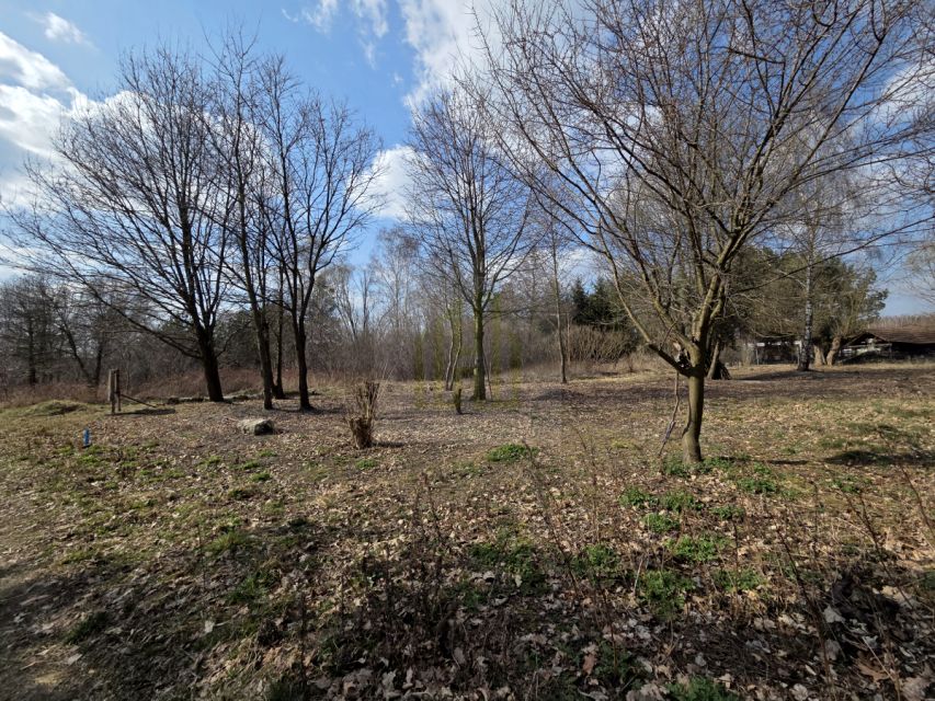 Działka budowlana Międzyborów