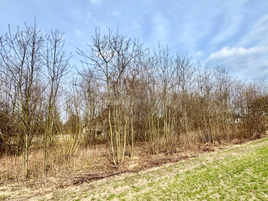 Działka budowlana Rybnik