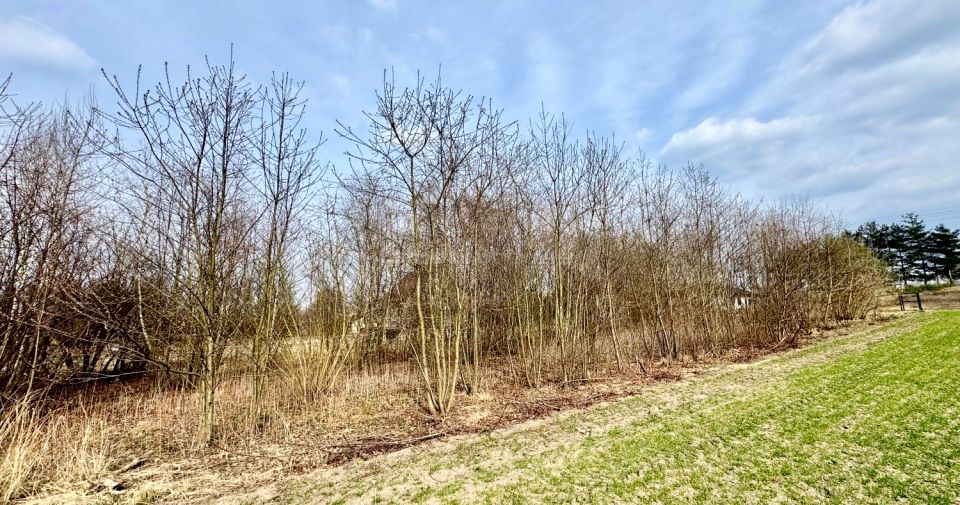 Działka budowlana Rybnik