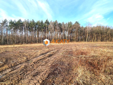 Pusta działka Zielona Góra