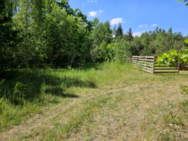 Działka budowlano-rolna Olszyny