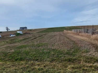 Działka budowlano-rolna Wojtkowice