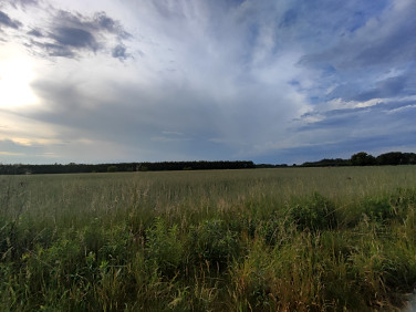 Działka budowlana Korytów sprzedam