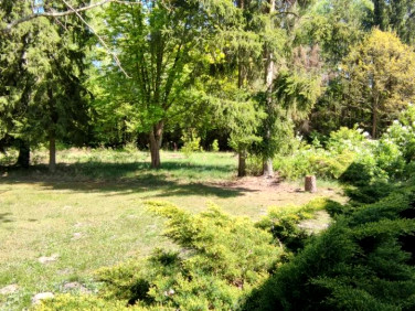 Dom Budy Zaklasztorne