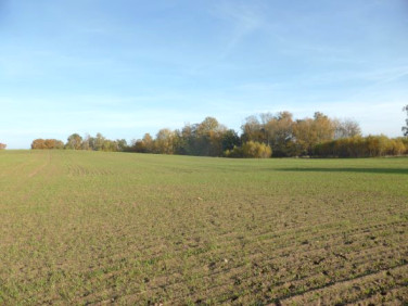 Działka budowlana sprzedam