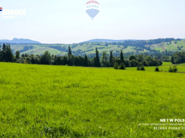 Działka rolna Dzianisz