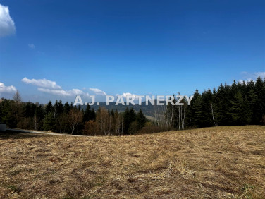 Działka rolna Berest