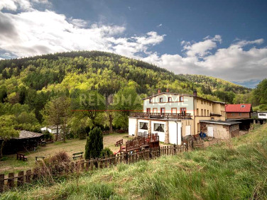 Lokal Jedlina-Zdrój