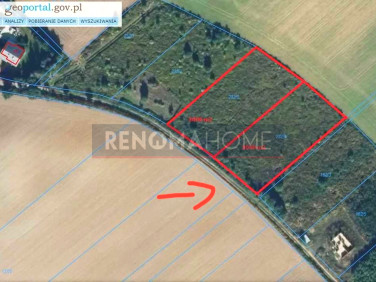 Działka budowlana Żarów