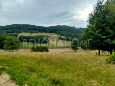 Działka budowlana Walim