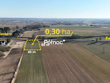 Działka usługowa Alojzów