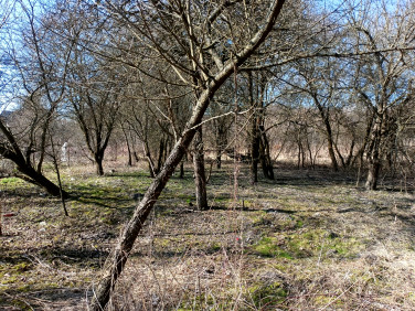Działka Krasnystaw