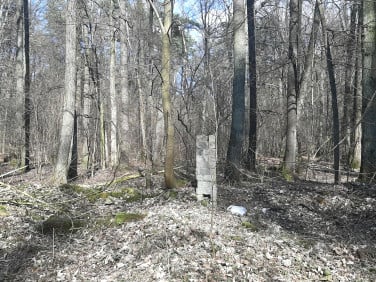 Działka leśna sprzedam