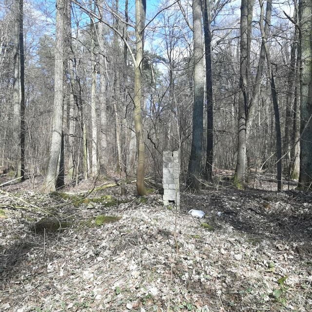 Działka leśna sprzedam