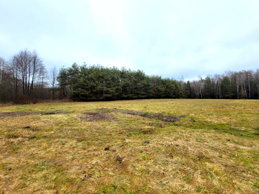 Działka rolna Nowa Dęba