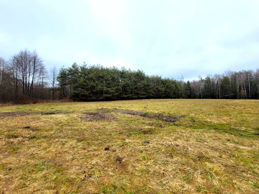 Działka rolna Nowa Dęba