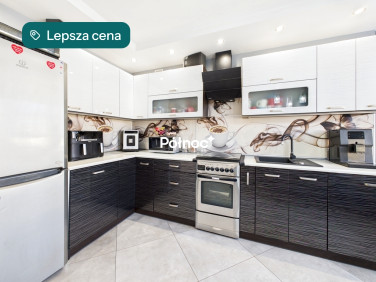 Mieszkanie Niechlów sprzedaż