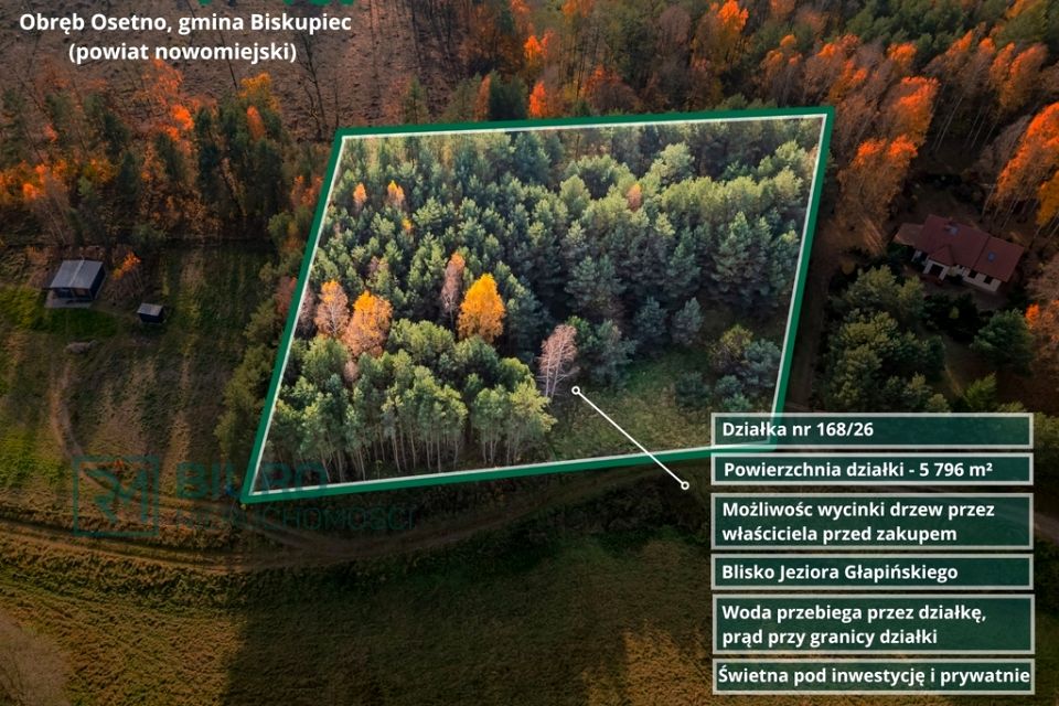 Działka Osetno