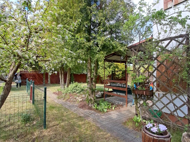 Działka siedliskowa Żurczyn