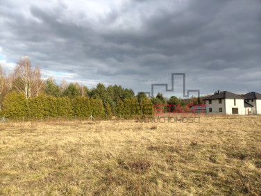 Działka budowlana Żółwin