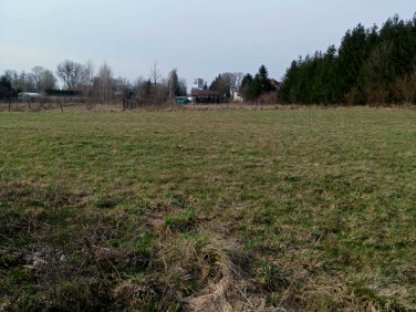 Działka budowlana Rypin