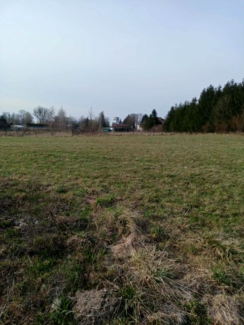 Działka budowlana Rypin