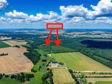 Działka leśna Rudno