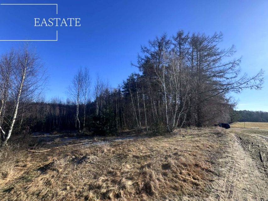 Działka usługowa Pierwoszyno