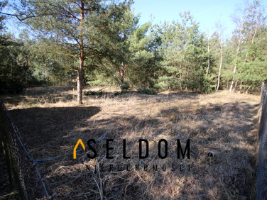 Ogrodzona działka Stanisławowo