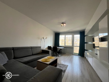 Mieszkanie Legnica wynajem